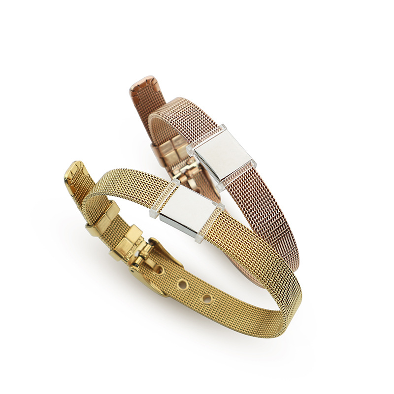 DINGLLY 10mm High Quality Stai - Mesh Strap Metal recensie en prijs