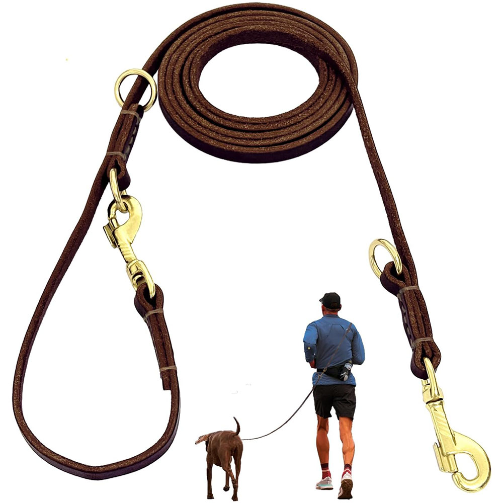 Multi Function Leather Dog Lea - Leather Strap Quick Release recensie en prijs